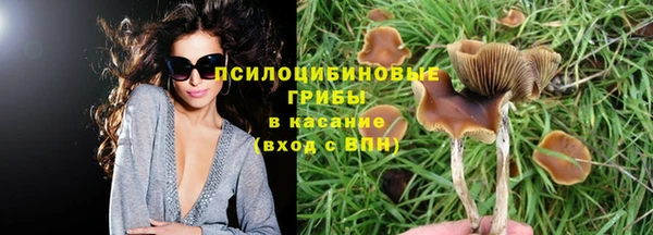 прущая мука Абаза