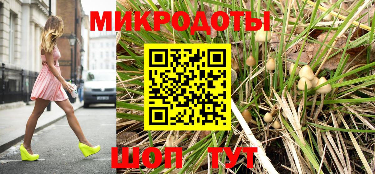 Галлюциногенные грибы GOLDEN TEACHER Елизово