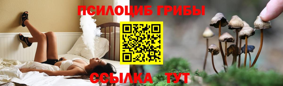 Псилоцибиновые грибы MAGIC MUSHROOMS  Вход с VPN  Елизово  Галлюциногенные грибы мухоморы 