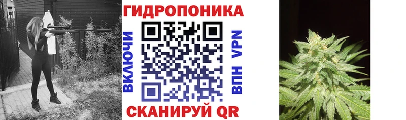 что такое   Елизово  Бошки марихуана Bruce Banner 